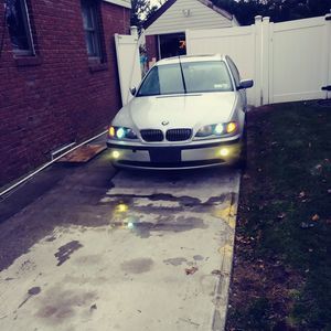 Meet your Posher, Elvis